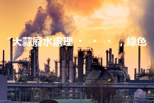“大蒜廢水處理，綠色環(huán)保新篇章”